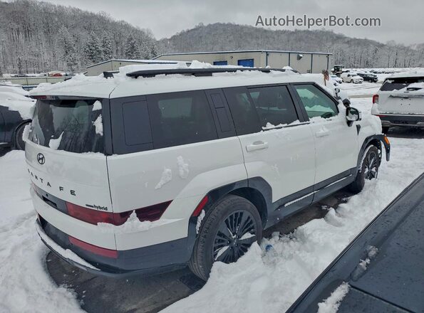 5NMP5DG15SH025324 2025 HYUNDAI SANTA FE CALLIGRAPHY White Tył prawy