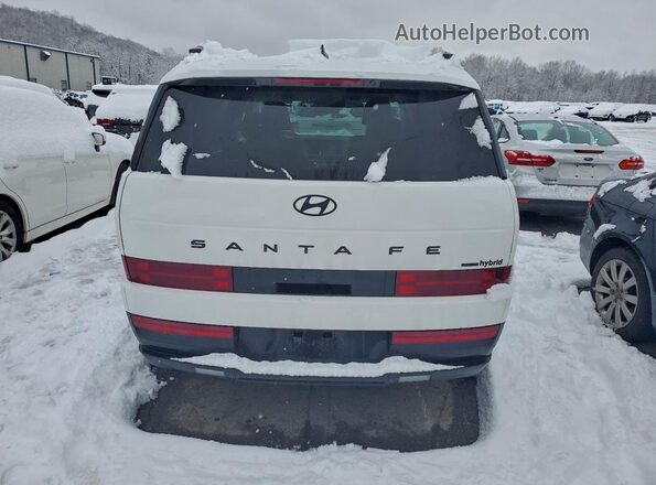 5NMP5DG15SH025324 2025 HYUNDAI SANTA FE CALLIGRAPHY White Widok z tyłu