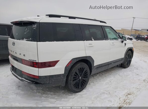 5NMP5DG17TH096641 2026 HYUNDAI SANTA FE HYBRID White Trasero derecho