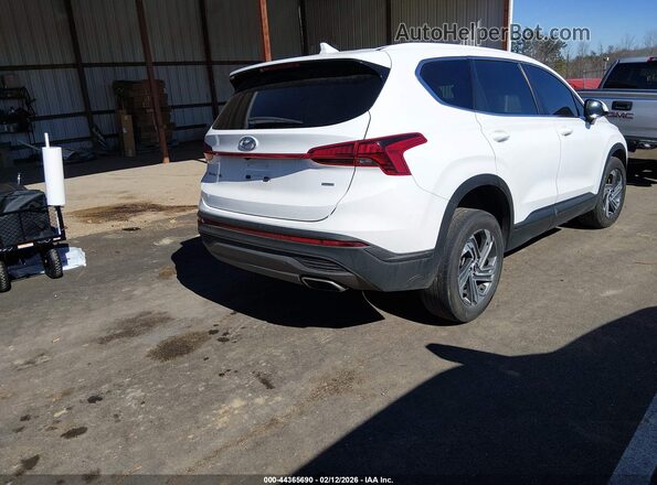 5NMS1DAJ6PH647355 2023 HYUNDAI SANTA FE Белый Задняя правая четверть