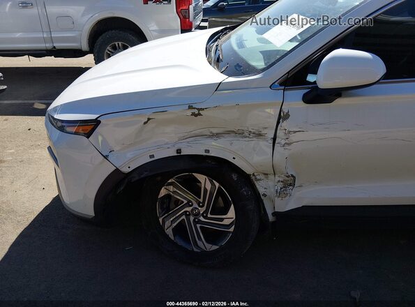5NMS1DAJ6PH647355 2023 HYUNDAI SANTA FE Белый Вид спереди