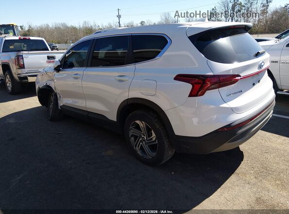 5NMS1DAJ6PH647355 2023 HYUNDAI SANTA FE Белый Задняя левая четверть