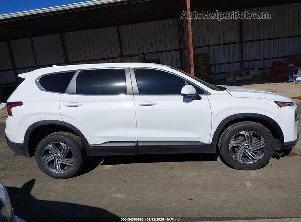 5NMS1DAJ6PH647355 2023 HYUNDAI SANTA FE Белый Панорамный вид салона 360°