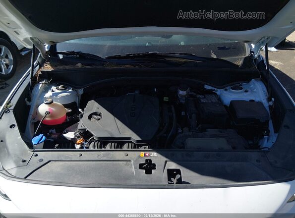 5NMS1DAJ6PH647355 2023 HYUNDAI SANTA FE Белый Вид сзади