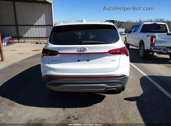 5NMS1DAJ6PH647355 2023 HYUNDAI SANTA FE Белый 