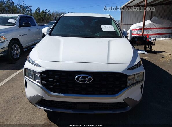 5NMS1DAJ6PH647355 2023 HYUNDAI SANTA FE Белый Вид задней части салона