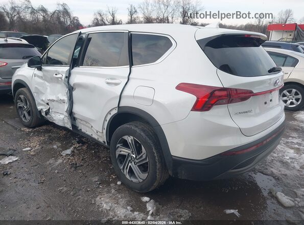 5NMS1DAJ7MH327845 2021 HYUNDAI SANTA FE White Trasero izquierdo