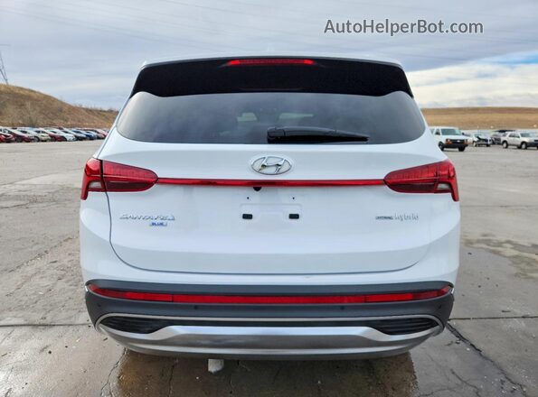 5NMS2DA15PH019123 2023 HYUNDAI SANTA FE HYBRID BLUE White Rear view