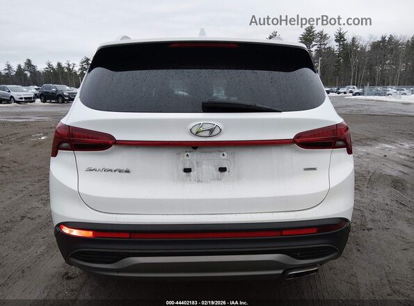 5NMS2DAJ4PH619843 2023 HYUNDAI SANTA FE White 