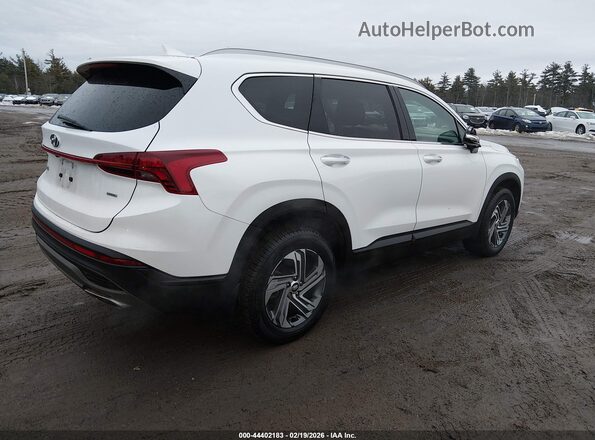 5NMS2DAJ4PH619843 2023 HYUNDAI SANTA FE White Trasero derecho