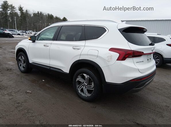 5NMS2DAJ4PH619843 2023 HYUNDAI SANTA FE White Trasero izquierdo