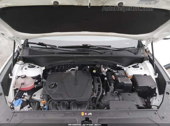 5NMS2DAJ4PH619843 2023 HYUNDAI SANTA FE White Vista trasera