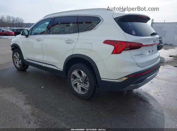 5NMS3DAJ2PH569246 2023 HYUNDAI SANTA FE White Задня ліва чверть