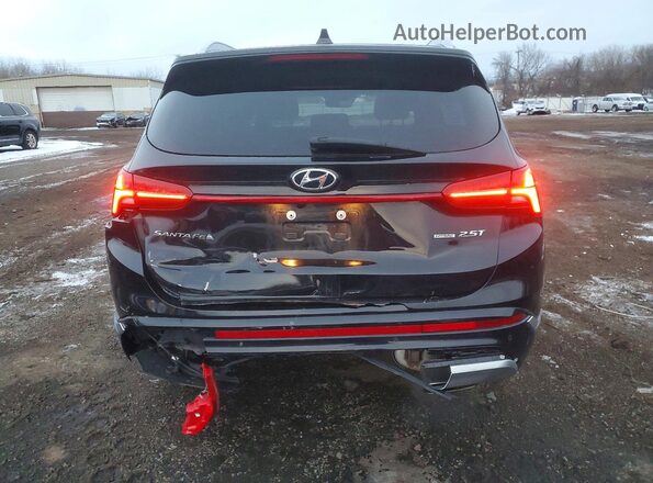 5NMS5DAL2PH518082 2023 HYUNDAI SANTA FE CALLIGRAPHY Black Widok z tyłu