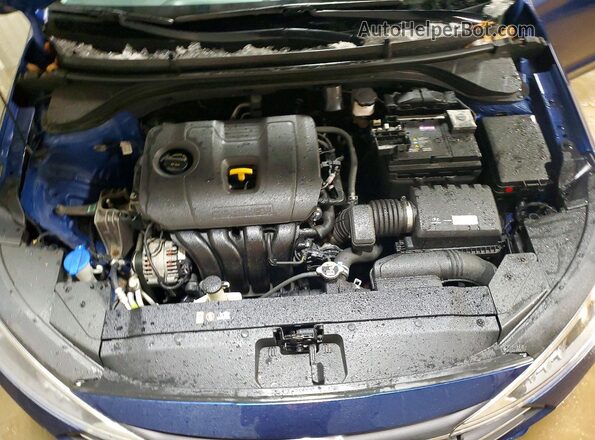 5NPD74LF6KH491037 2019 HYUNDAI ELANTRA Blue Widok wnętrza z tyłu
