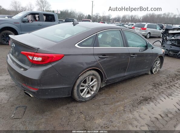 5NPE24AF0GH308616 2016 HYUNDAI SONATA Brown Задня права чверть