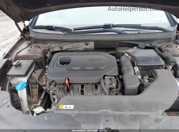 5NPE24AF0GH308616 2016 HYUNDAI SONATA Brown Вид ззаду
