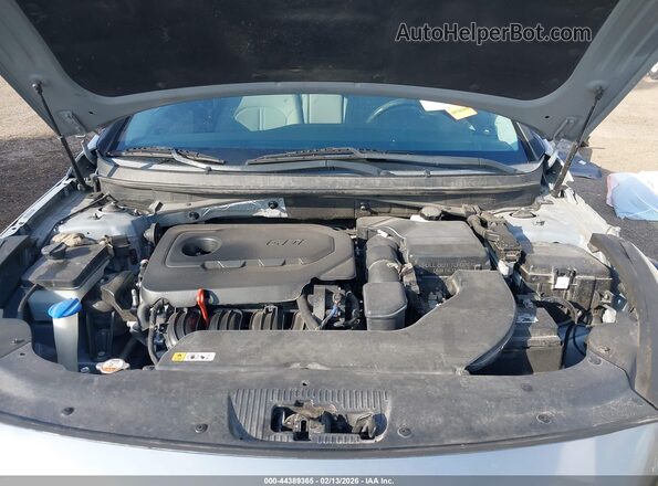 5NPE24AF3GH350262 2016 HYUNDAI SONATA Silver Widok z tyłu