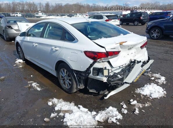 5NPE24AF3KH745826 2019 HYUNDAI SONATA Белый Задняя левая четверть