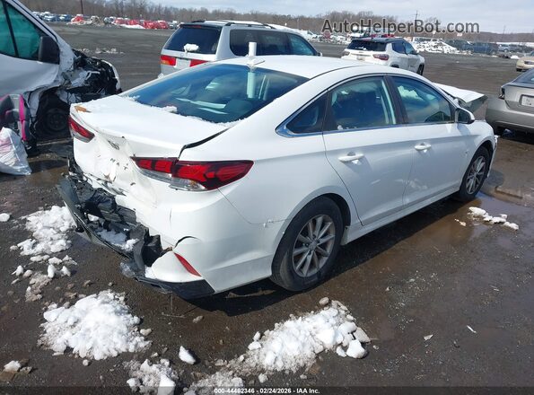 5NPE24AF3KH745826 2019 HYUNDAI SONATA Белый Задняя правая четверть