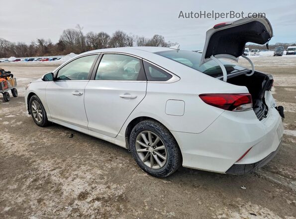 5NPE24AF4KH786319 2019 HYUNDAI SONATA Белый 