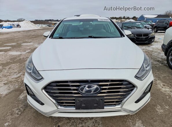 5NPE24AF4KH786319 2019 HYUNDAI SONATA Белый 