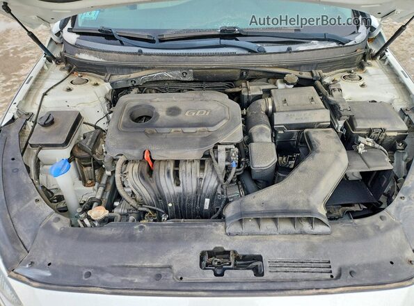 5NPE24AF4KH786319 2019 HYUNDAI SONATA Белый 