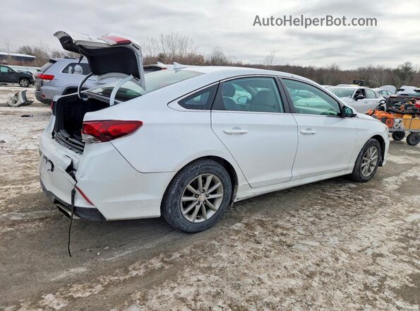 5NPE24AF4KH786319 2019 HYUNDAI SONATA Белый 