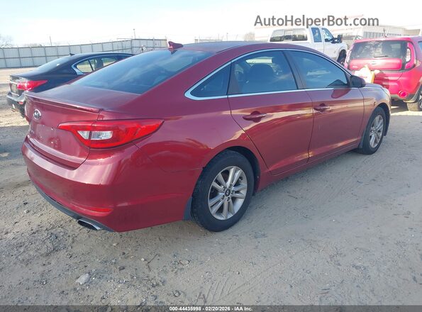 5NPE24AF6GH337313 2016 HYUNDAI SONATA Red Trasero derecho