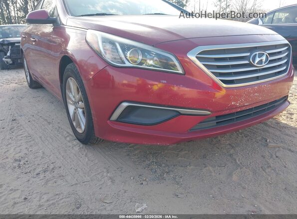 5NPE24AF6GH337313 2016 HYUNDAI SONATA Red Vista frontal