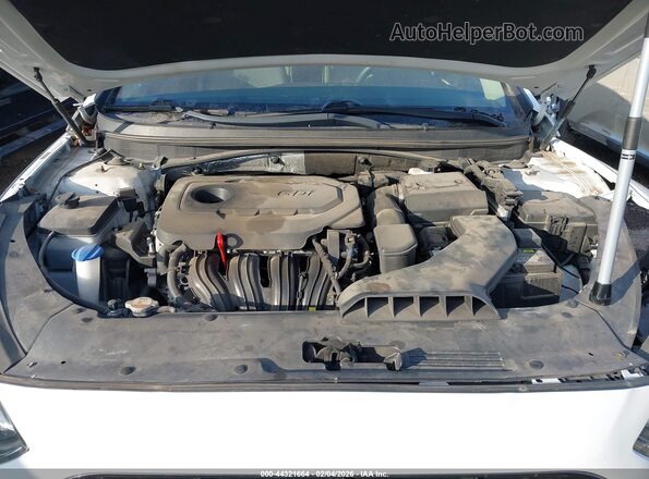5NPE24AF6JH695437 2018 HYUNDAI SONATA White Widok z tyłu