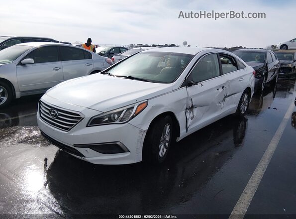 5NPE24AF7GH340138 2016 HYUNDAI SONATA White Przód lewy