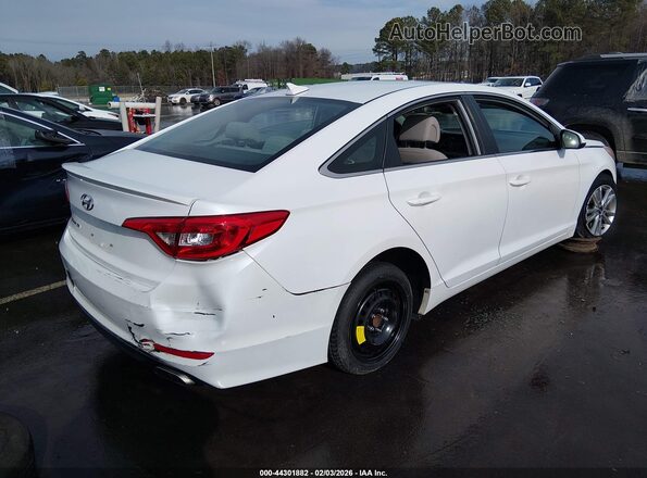 5NPE24AF7GH340138 2016 HYUNDAI SONATA White Tył prawy