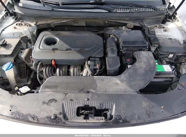 5NPE24AF7GH340138 2016 HYUNDAI SONATA White Widok z tyłu
