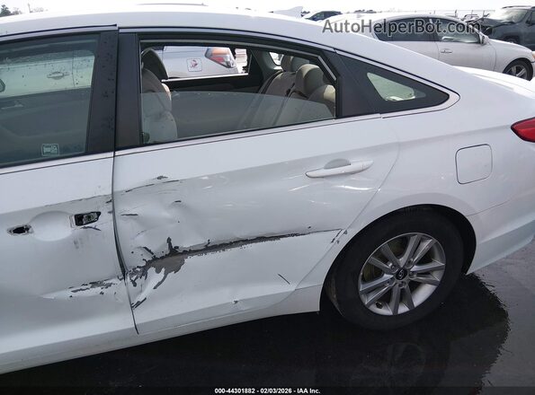 5NPE24AF7GH340138 2016 HYUNDAI SONATA White 