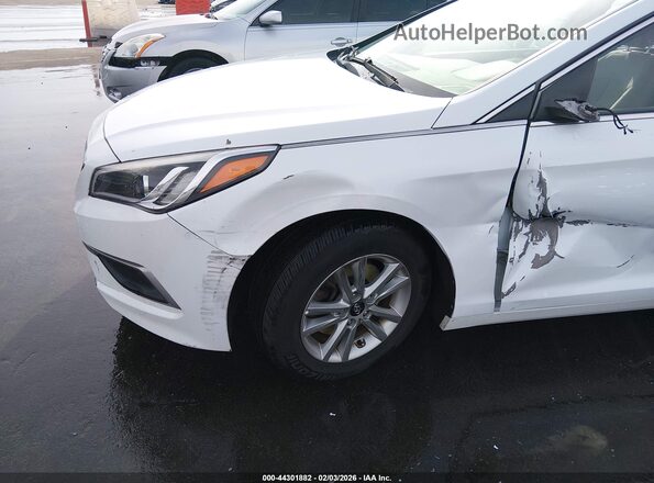 5NPE24AF7GH340138 2016 HYUNDAI SONATA White 