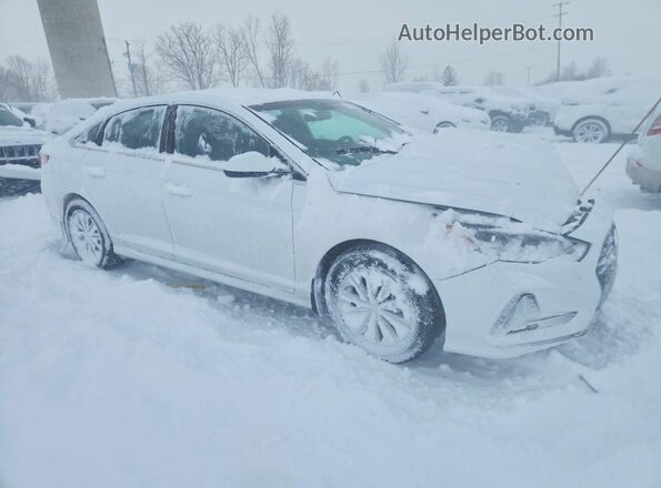 5NPE24AF7KH804697 2019 HYUNDAI SONATA White 