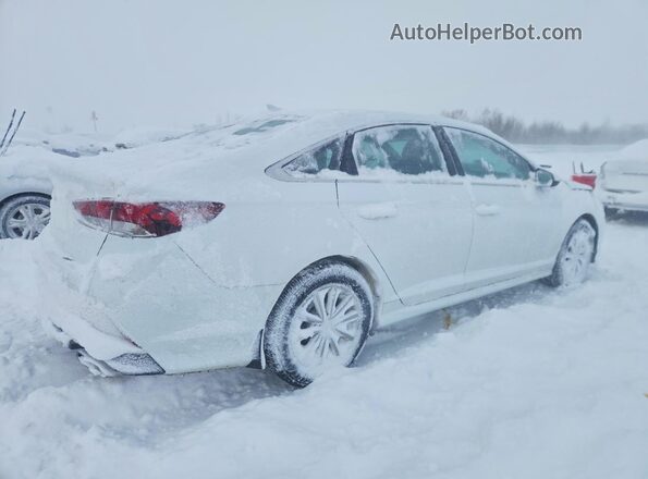 5NPE24AF7KH804697 2019 HYUNDAI SONATA White 