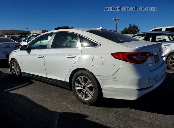 5NPE24AF8GH334980 2016 HYUNDAI SONATA White 