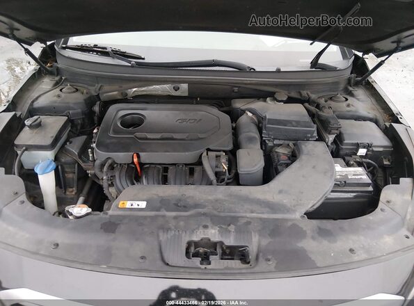 5NPE24AF9GH314897 2016 HYUNDAI SONATA Black Widok z tyłu