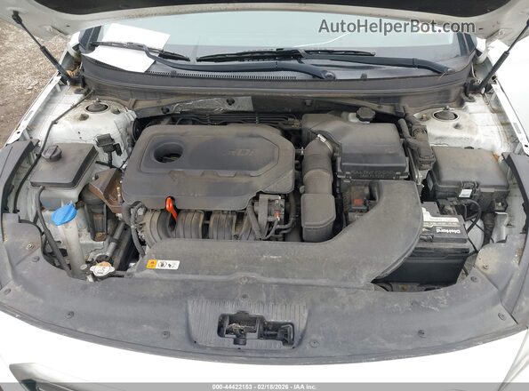 5NPE24AFXGH309367 2016 HYUNDAI SONATA White უკანა ხედი