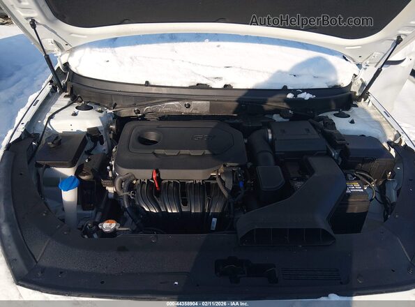 5NPE24AFXJH684389 2018 HYUNDAI SONATA White Вид ззаду