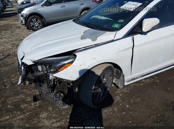 5NPE34AB6JH688983 2018 HYUNDAI SONATA White 