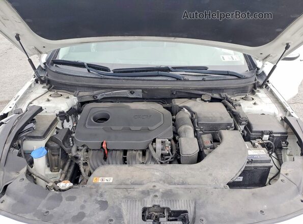 5NPE34AF1GH339175 2016 HYUNDAI SONATA White Вид задньої частини салону