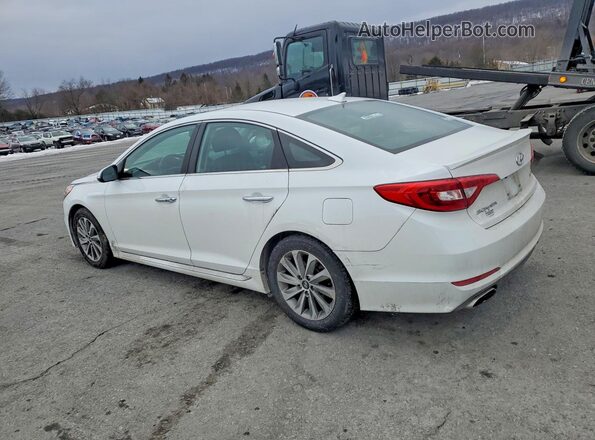 5NPE34AF1GH339175 2016 HYUNDAI SONATA White Задня ліва чверть