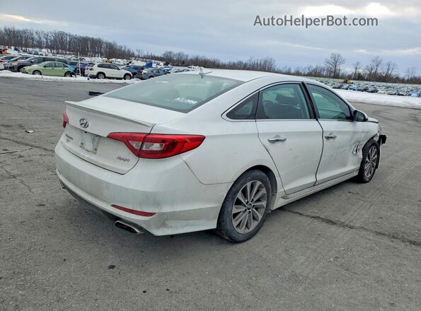5NPE34AF1GH339175 2016 HYUNDAI SONATA White Задня права чверть