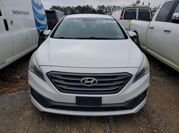 5NPE34AF4HH524273 2017 HYUNDAI SONATA Белый Вид спереди