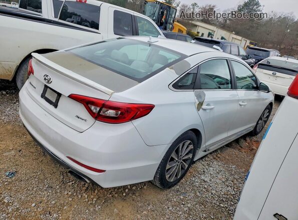 5NPE34AF4HH524273 2017 HYUNDAI SONATA Белый Задняя правая четверть