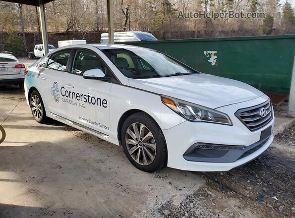 5NPE34AF4HH524273 2017 HYUNDAI SONATA Белый 