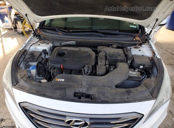 5NPE34AF4HH524273 2017 HYUNDAI SONATA Белый Вид задней части салона